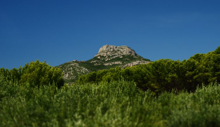 Provence au pied du Garlaban