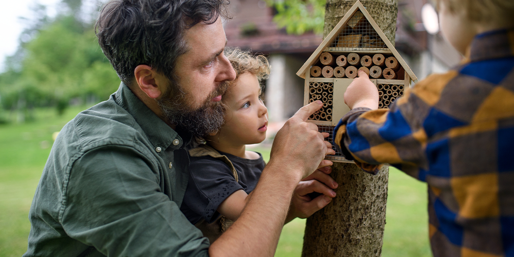 une vision durable, père et son enfant devant maison à insecte