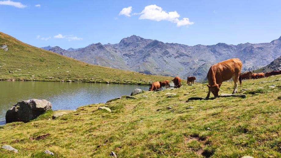 Lac d'Auvergne